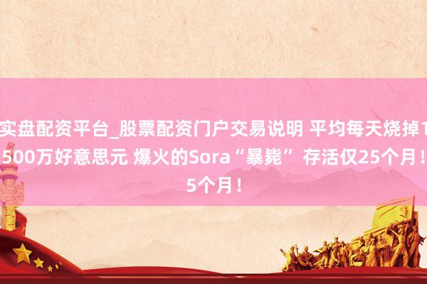 实盘配资平台_股票配资门户交易说明 平均每天烧掉1500万好意思元 爆火的Sora“暴毙” 存活仅25个月！