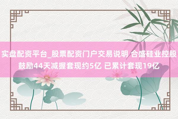 实盘配资平台_股票配资门户交易说明 合盛硅业控股鼓励44天减握套现约5亿 已累计套现19亿